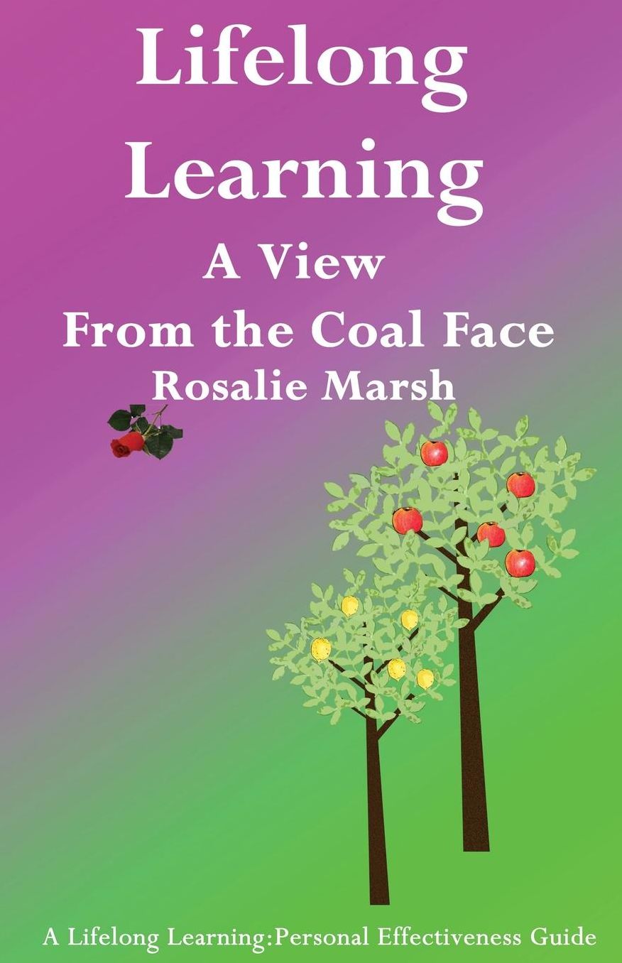 Lifelong Learning: A View from the Coal Face