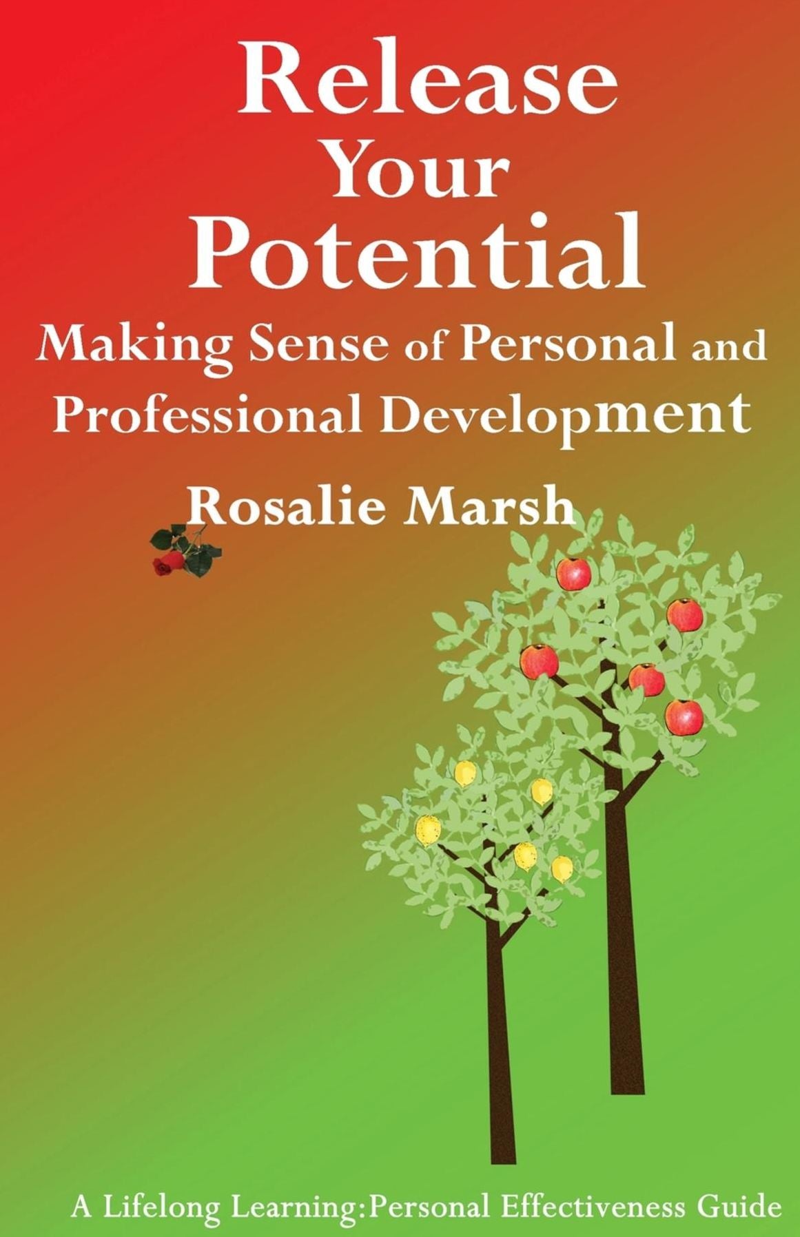 Release Your Potential: Making Sense of Personal and Professional Development