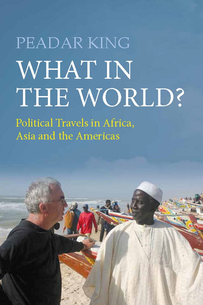 What in the World?: Political Travels in Africa, Asia and the Americas