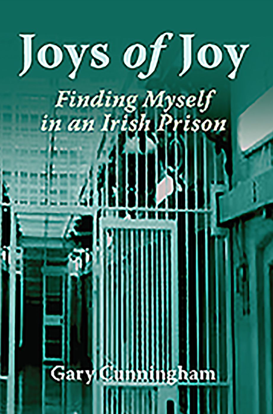 Joys of Joy: Finding Myself in an Irish Prison
