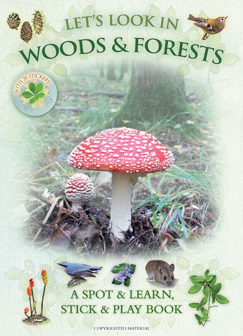 Let's Look in Woods & Forests: A Spot & Learn, Stick & Play Book