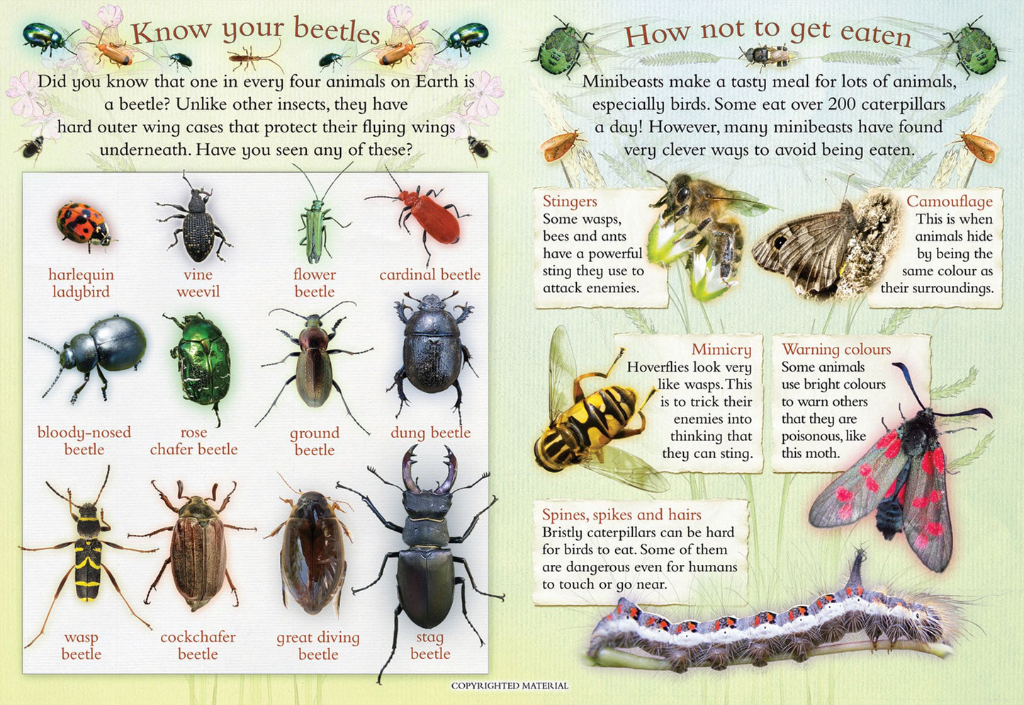 Let's Look for Minibeasts: A Spot & Learn, Stick & Play Book