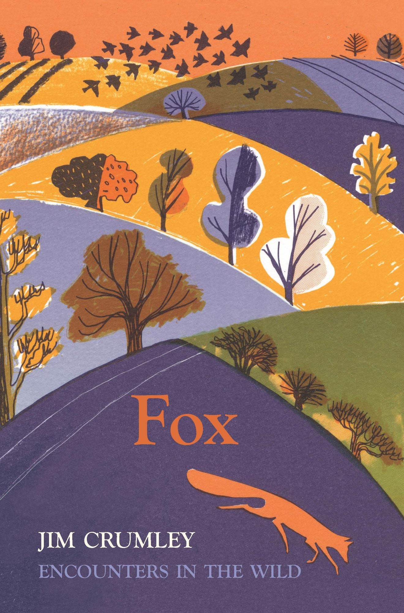 Fox: Encounters in the Wild
