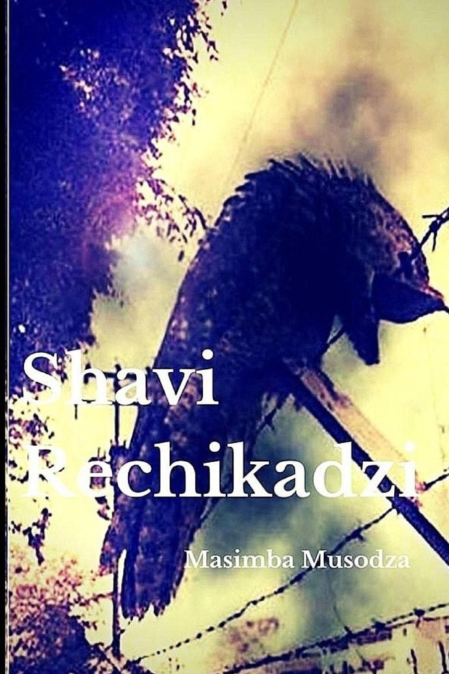 Shavi Rechikadzi
