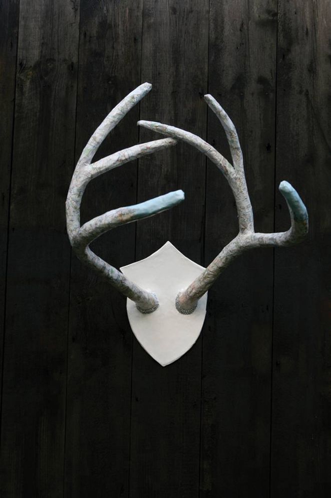 Craftydermy