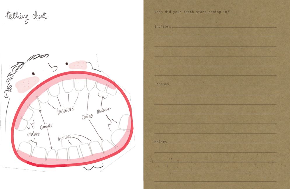 Baby Journal