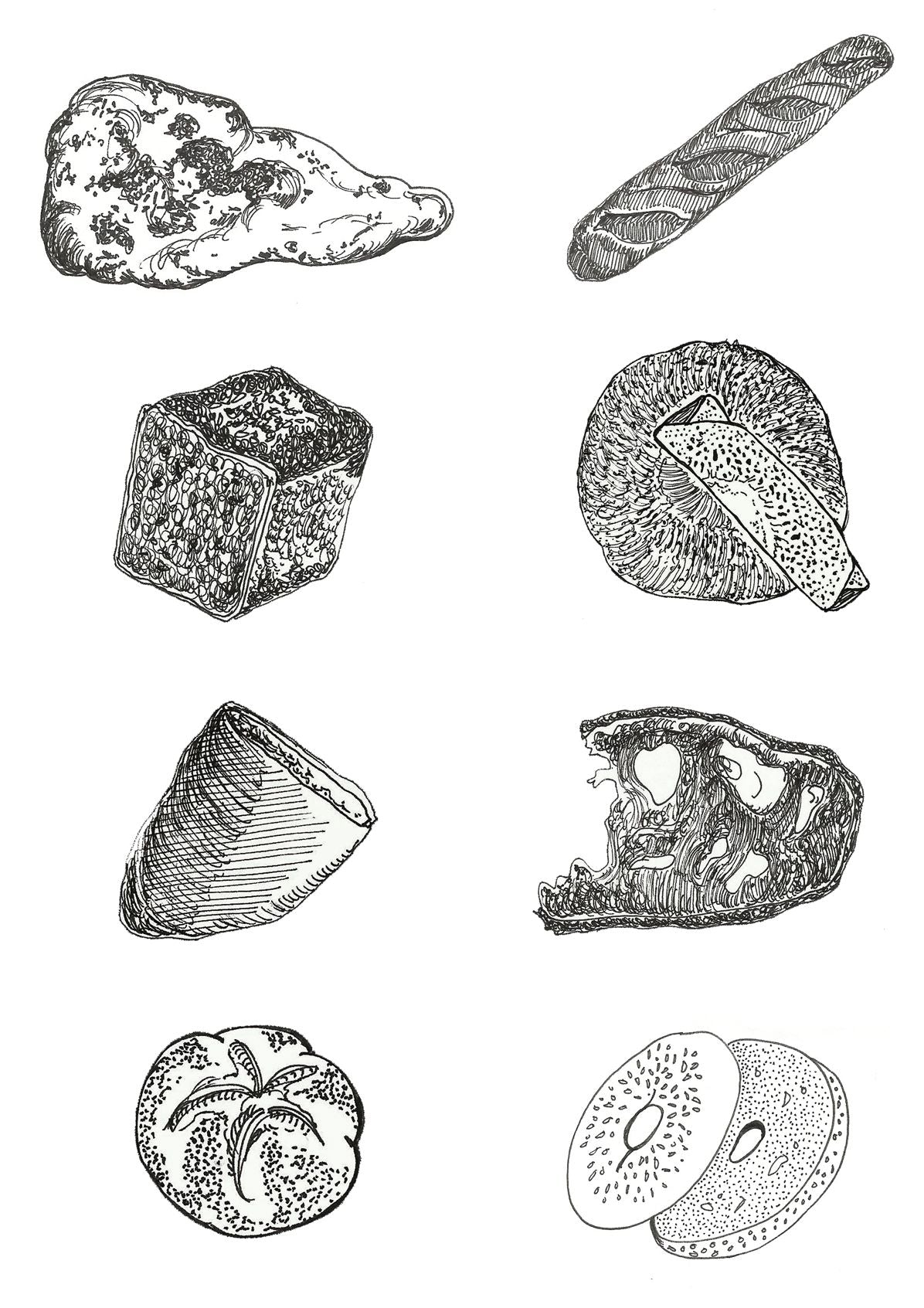 The Illustrated Cooking Journal