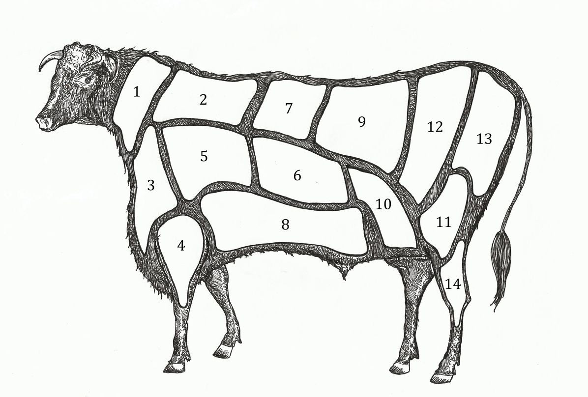 The Illustrated Cooking Journal