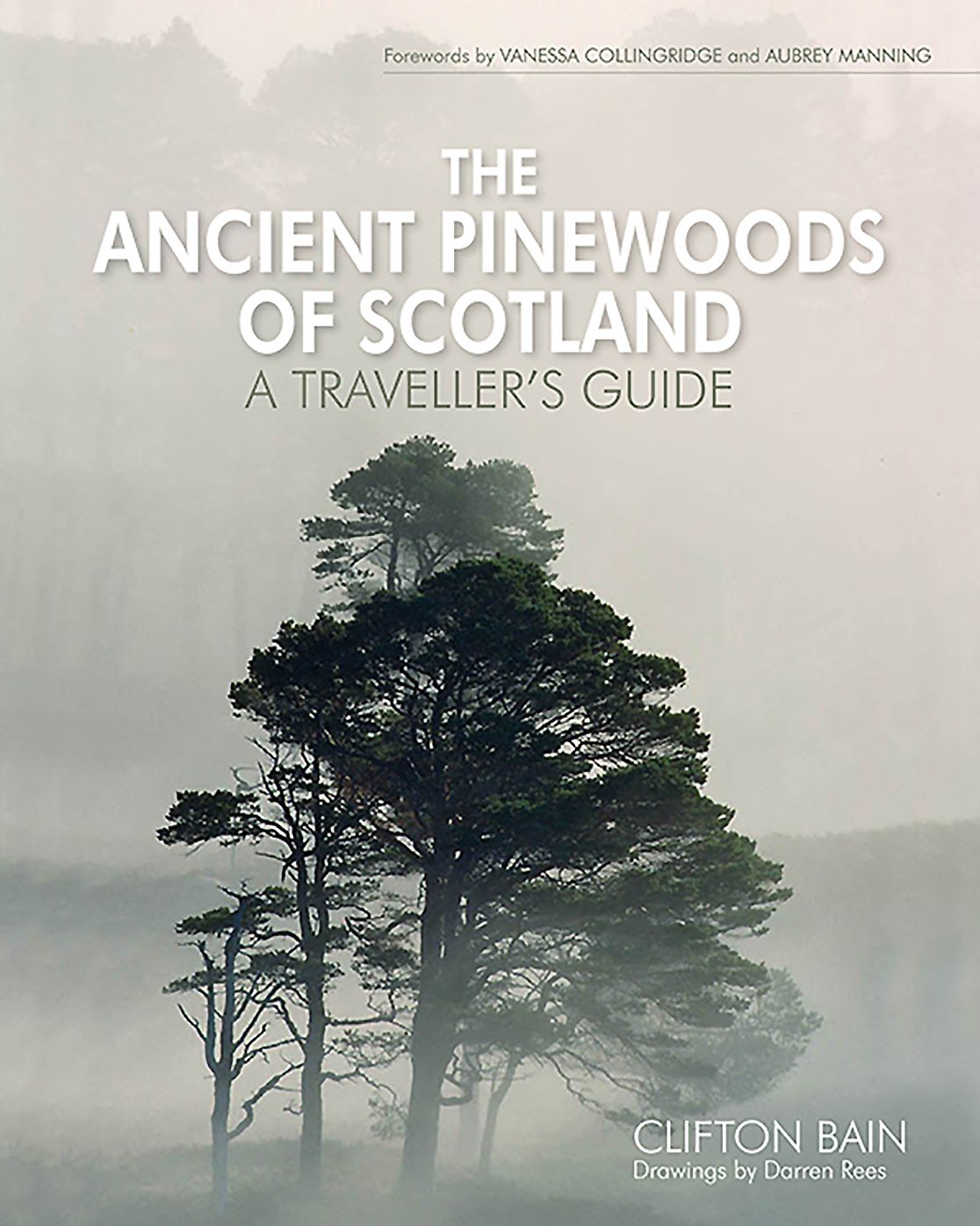 The Ancient Pinewoods of Scotland