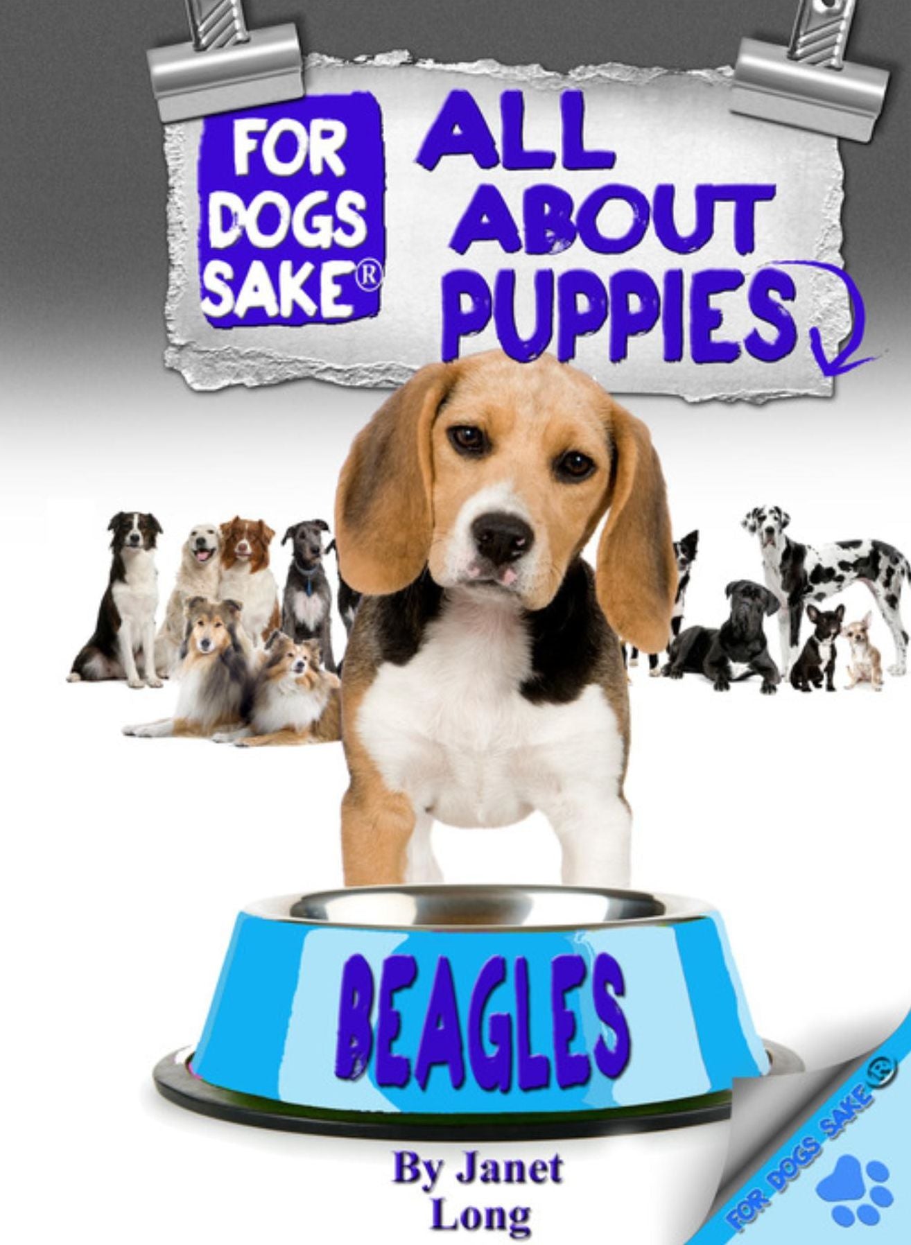 All About Beagle Puppies