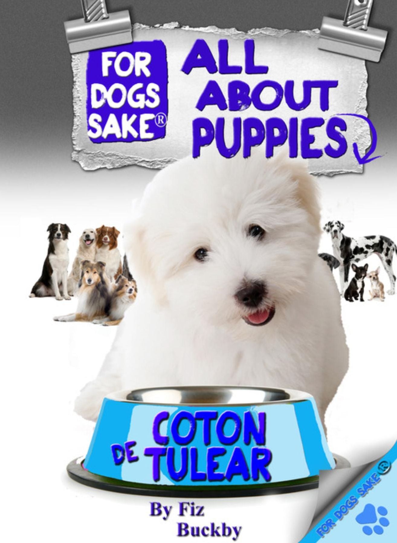 All About Coton de Tulear Puppies