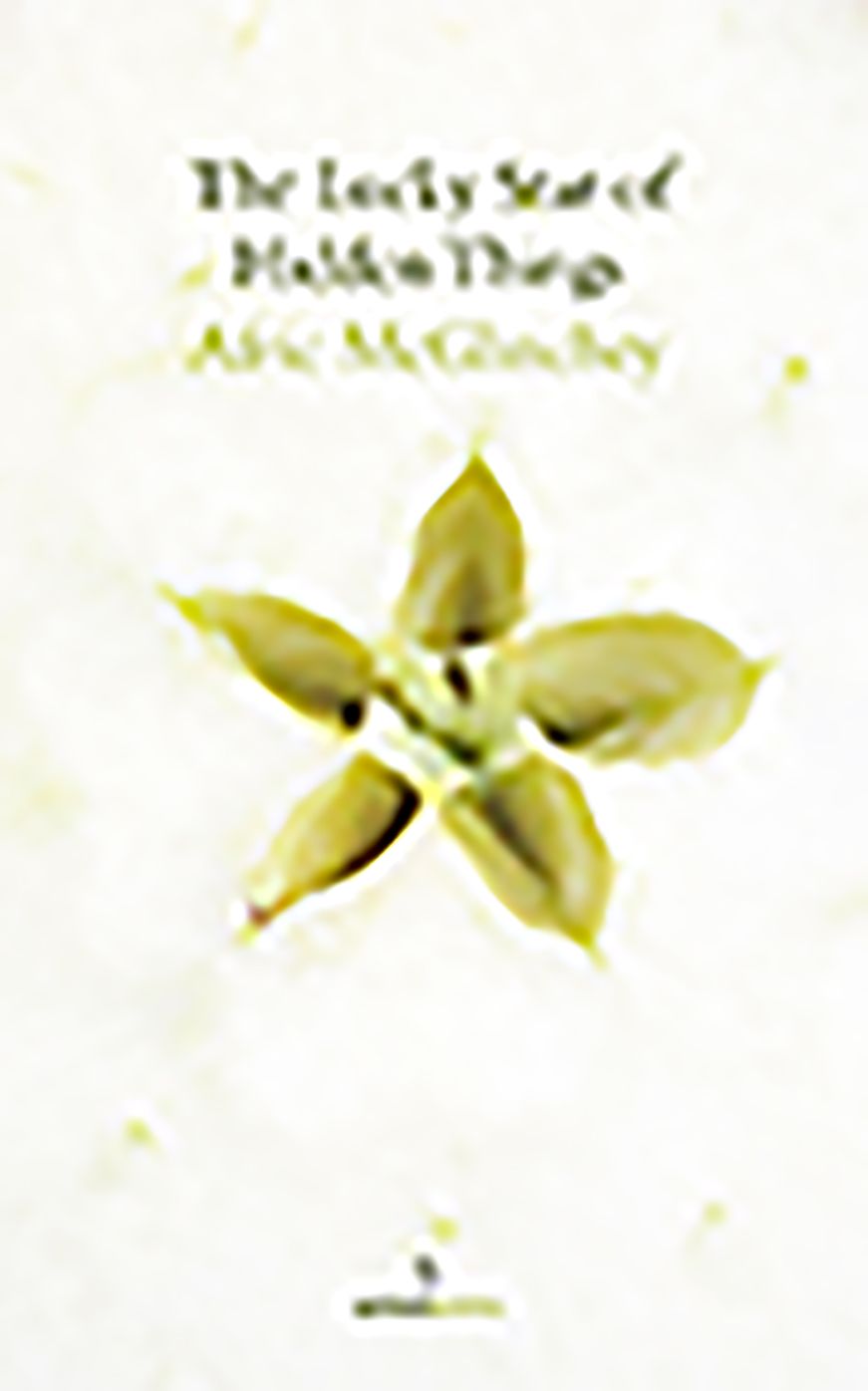 The Lucky Star of Hidden Things