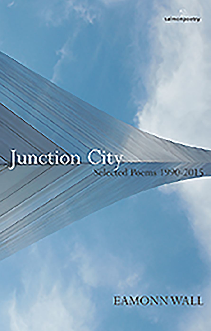 Junction City: Selected Poems 1990 - 2015