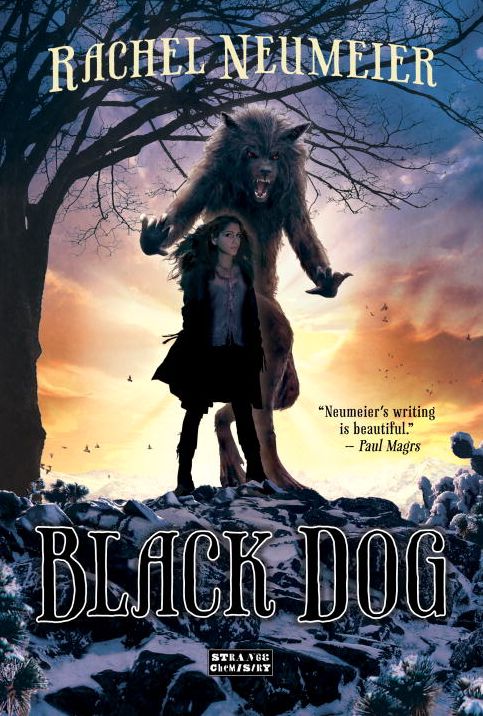 Black Dog