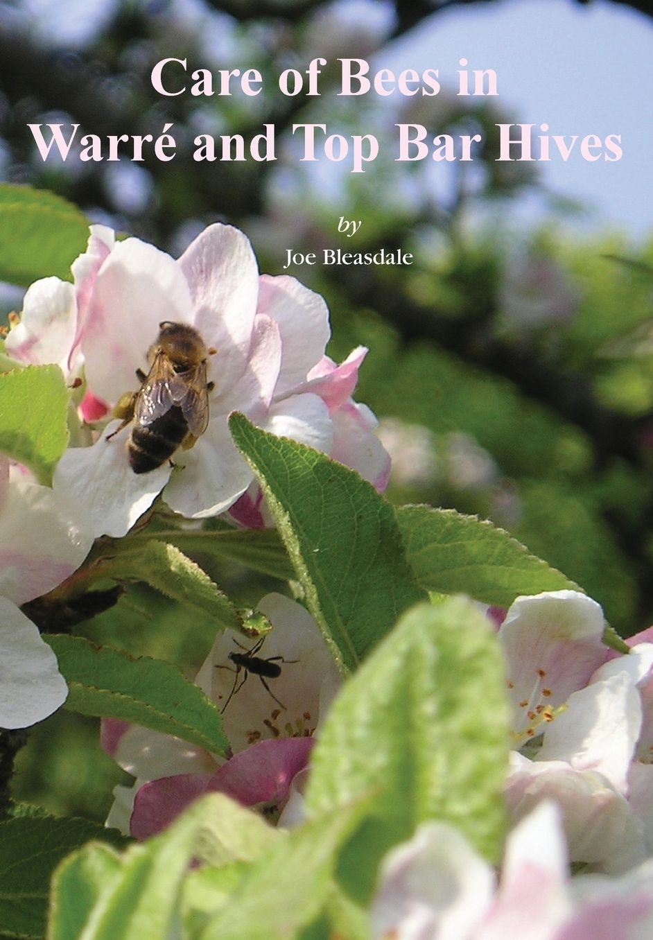 Care of Bees in Warr? and Top Bar Hive