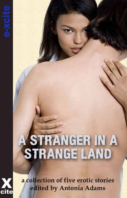 A Stranger in a Strange Land: A collection of five erotic stories