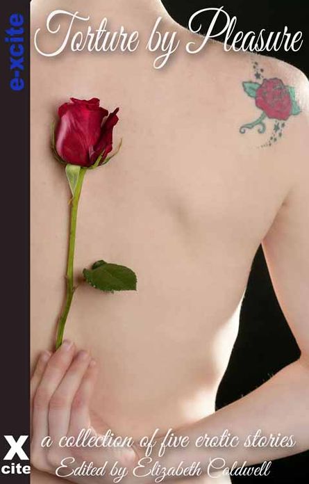 Torture by Pleasure: A collection of five erotic stories