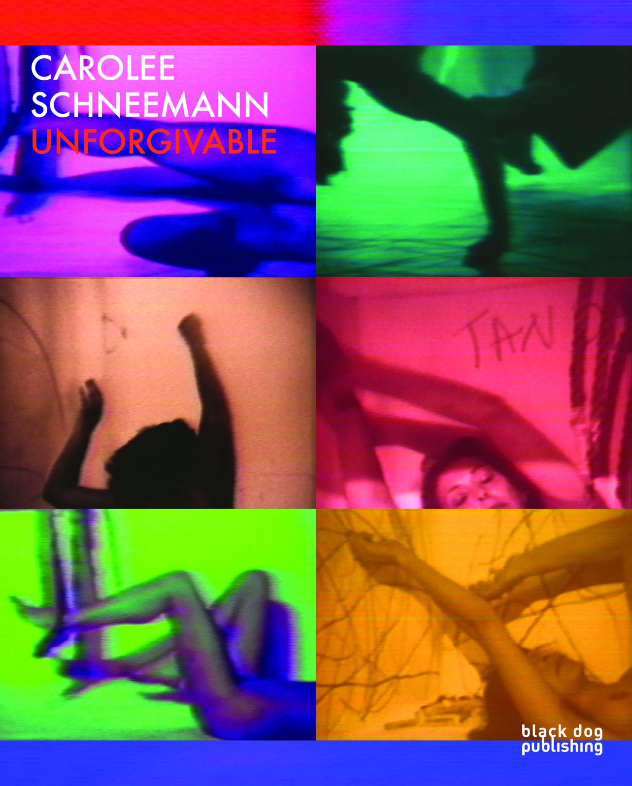 Carolee Schneemann : Unforgivable