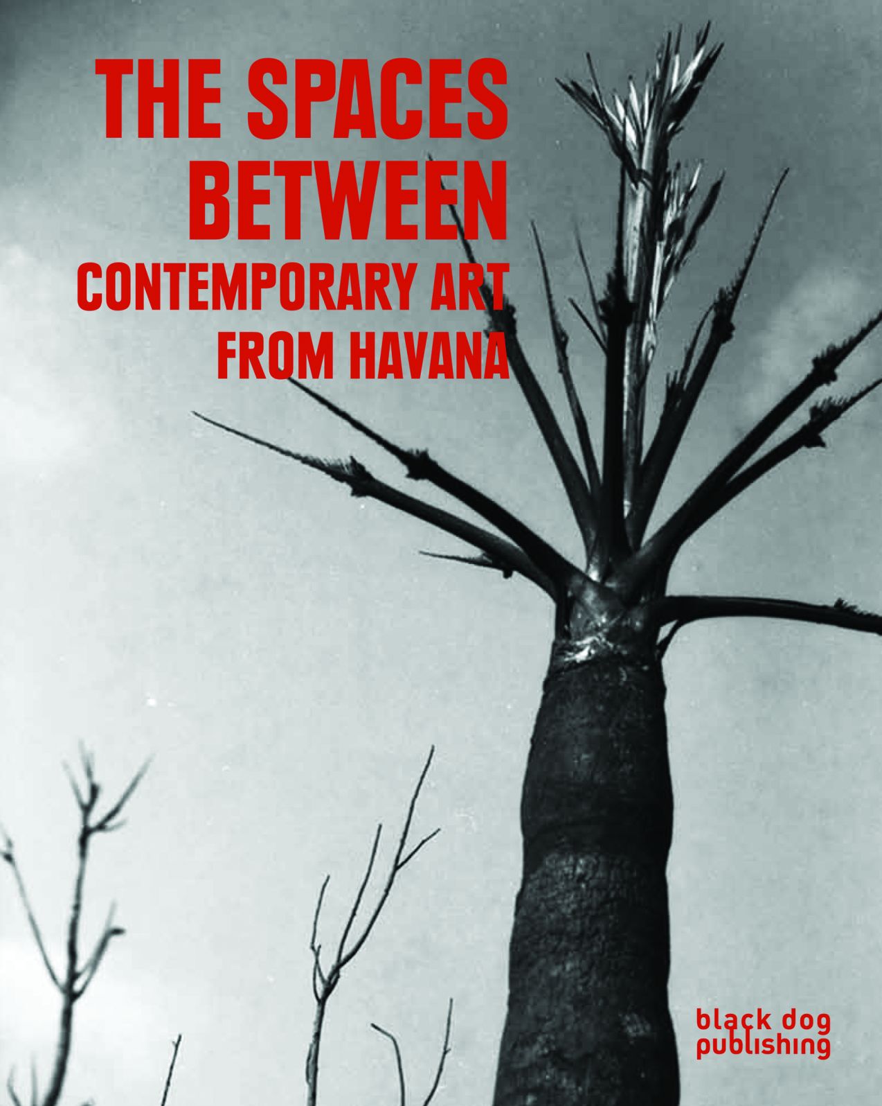 The Spaces Between : Contemporary Art from Havana