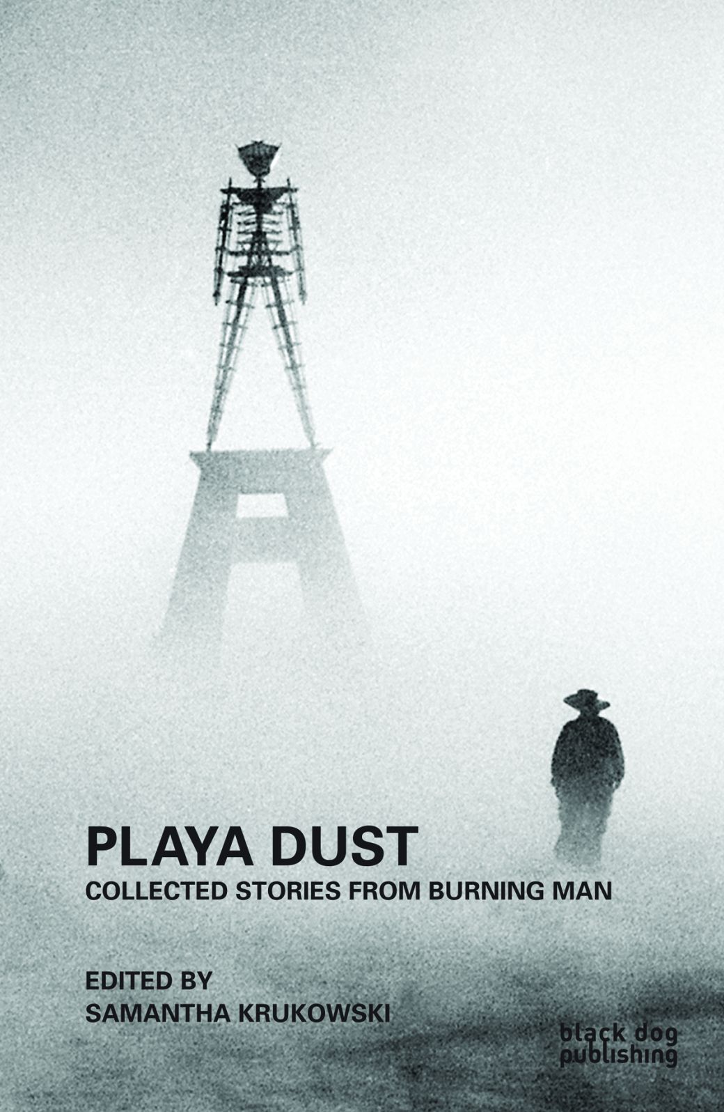 Playa Dust : Collected Stories from Burning Man