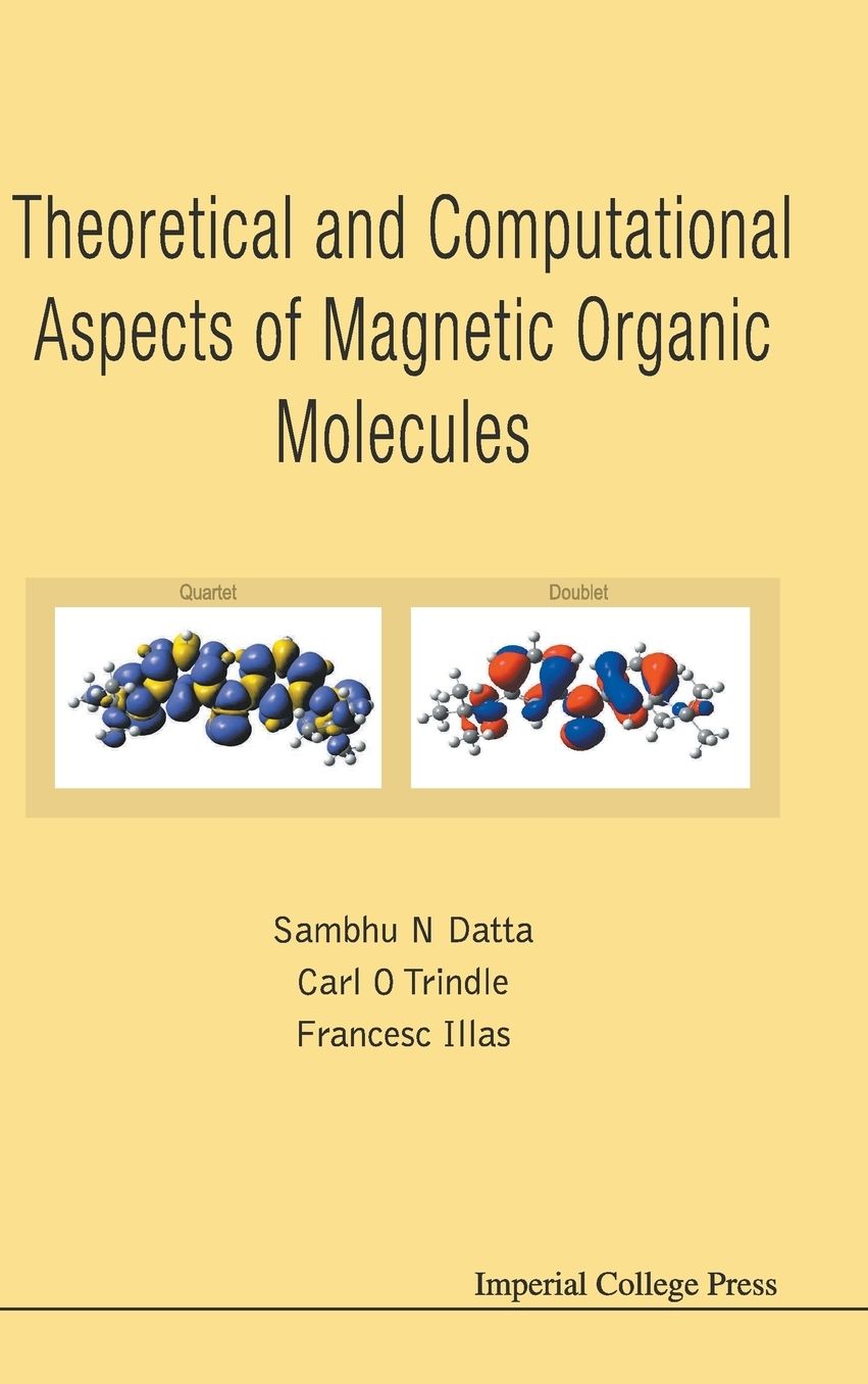Theoretical And Computational Aspects Of Magnetic Organic Molecules