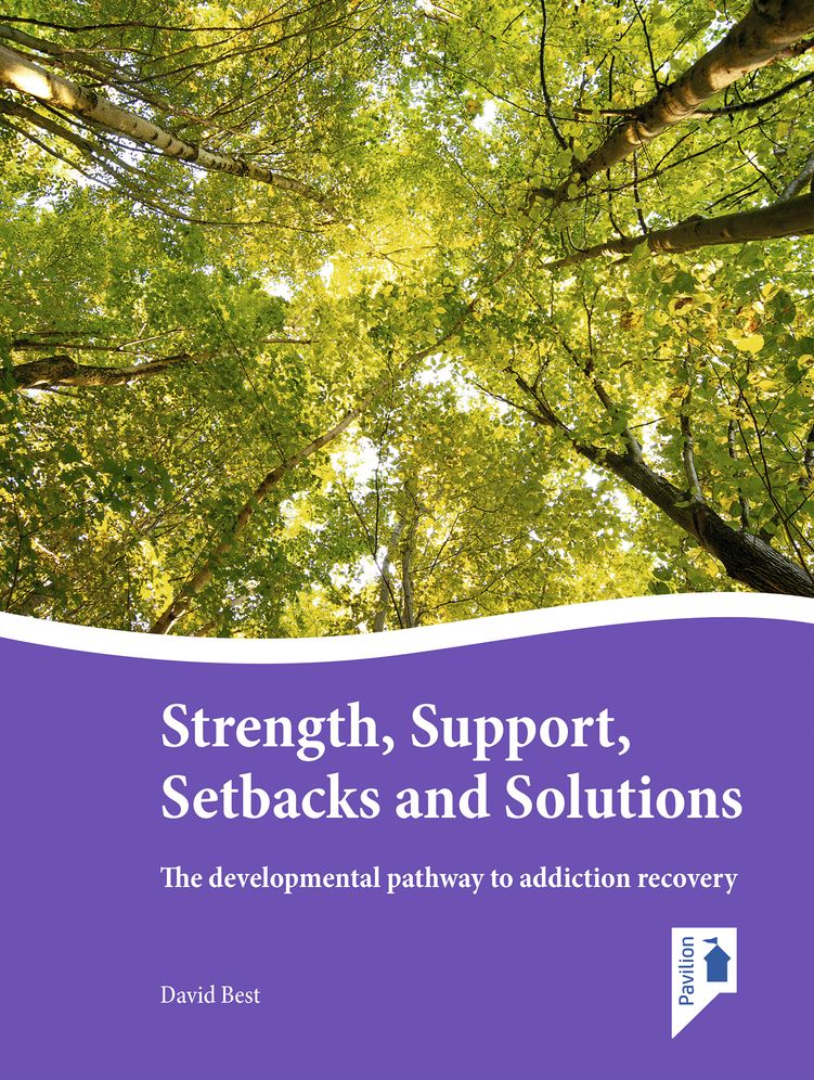 Strengths, Support, Setbacks and Solutions: The developmental pathway to addiction