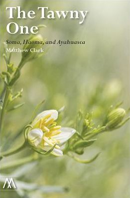 The Tawny One: Soma, Haoma, and Ayahuasca
