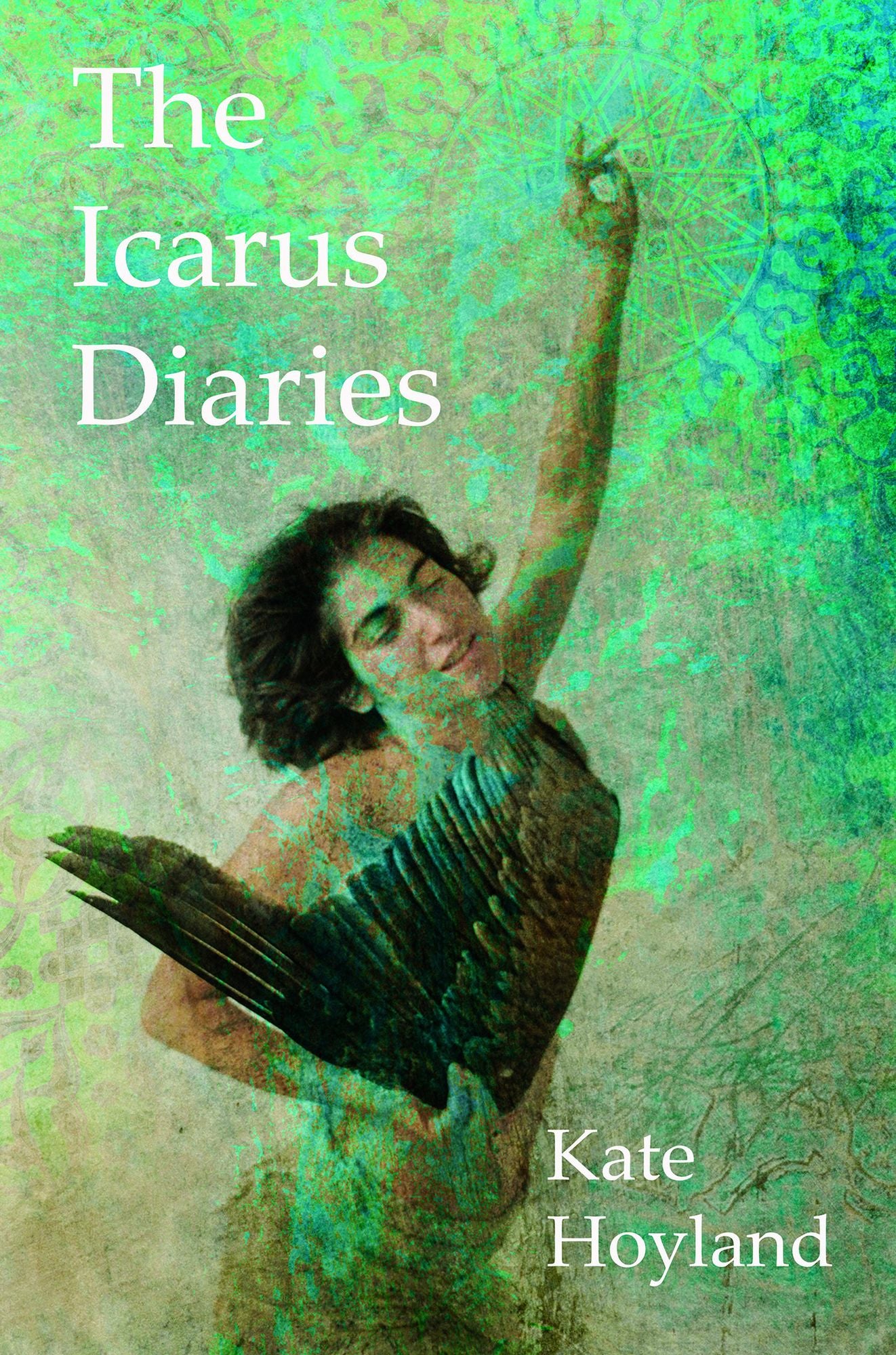 The Icarus Diaries