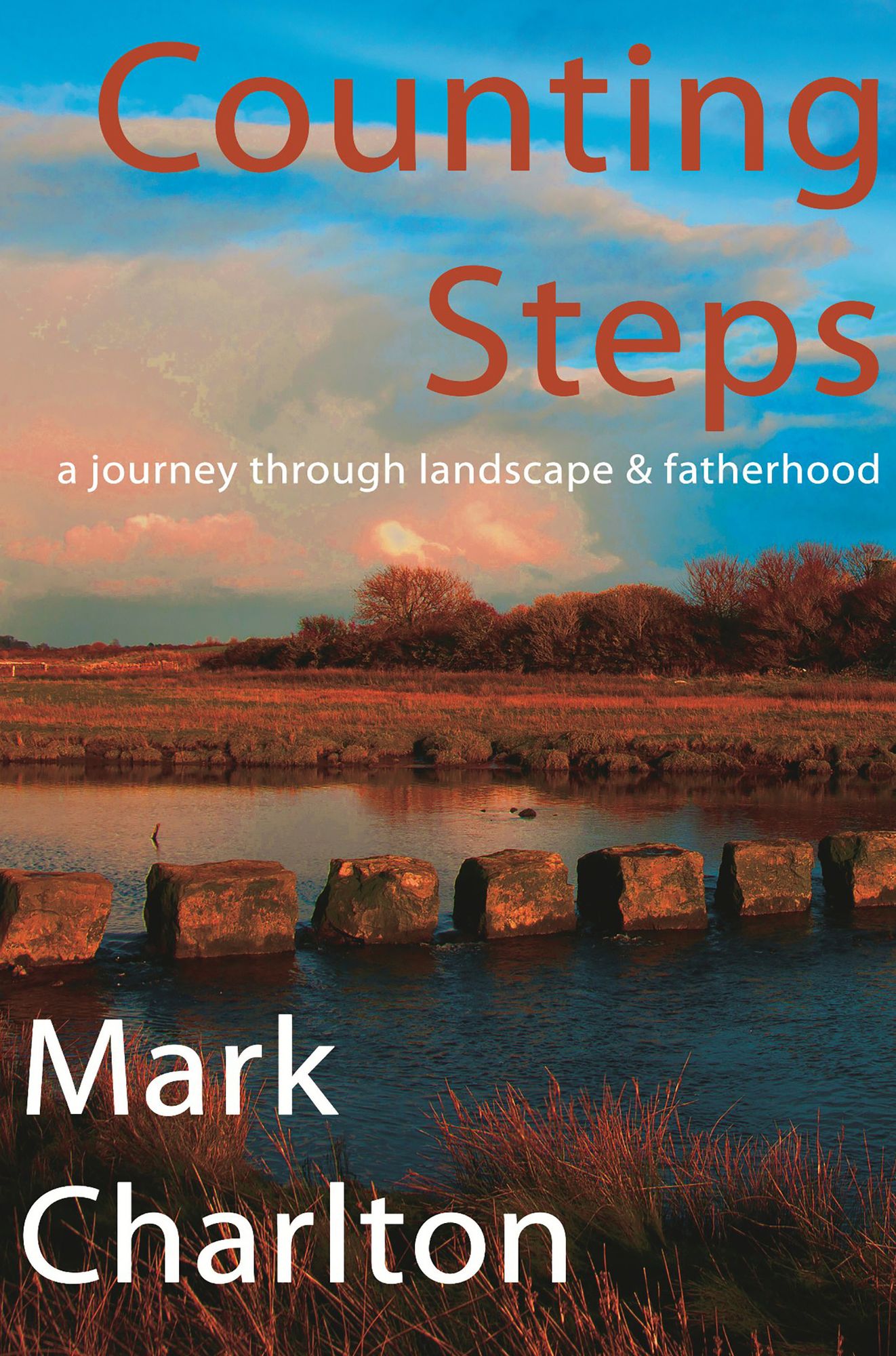 Counting Steps