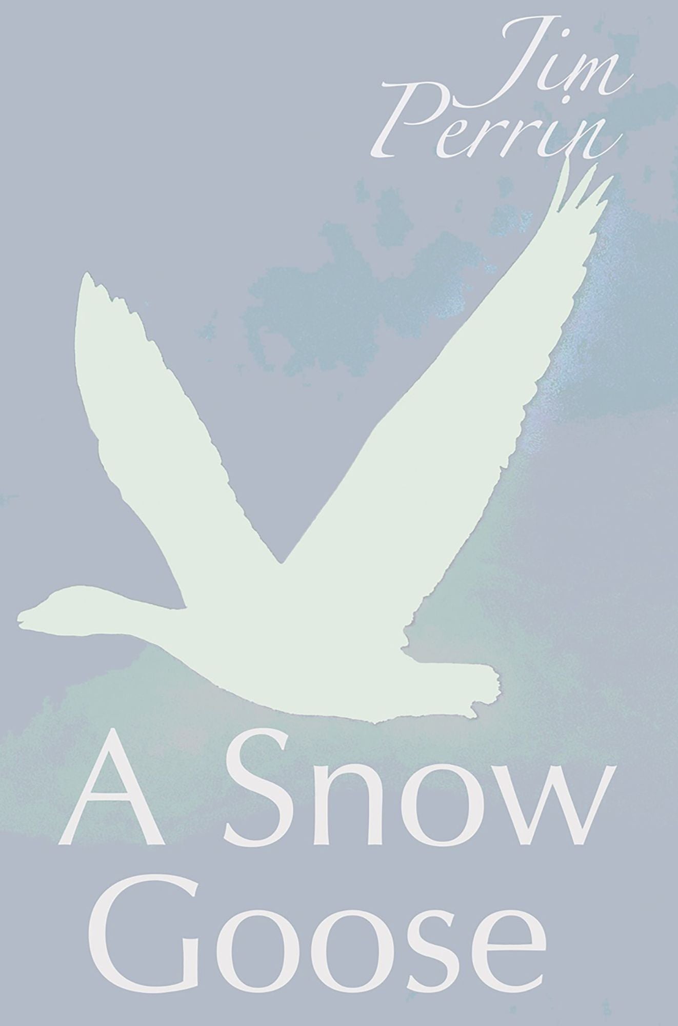 A Snow Goose