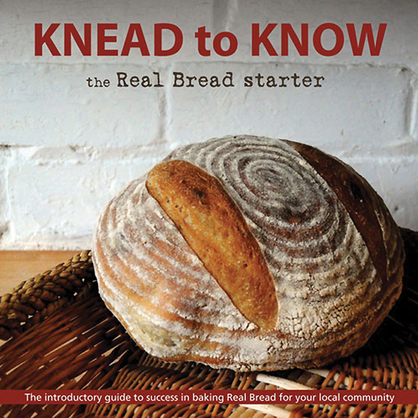 Knead to Know: The Real Bread Starter