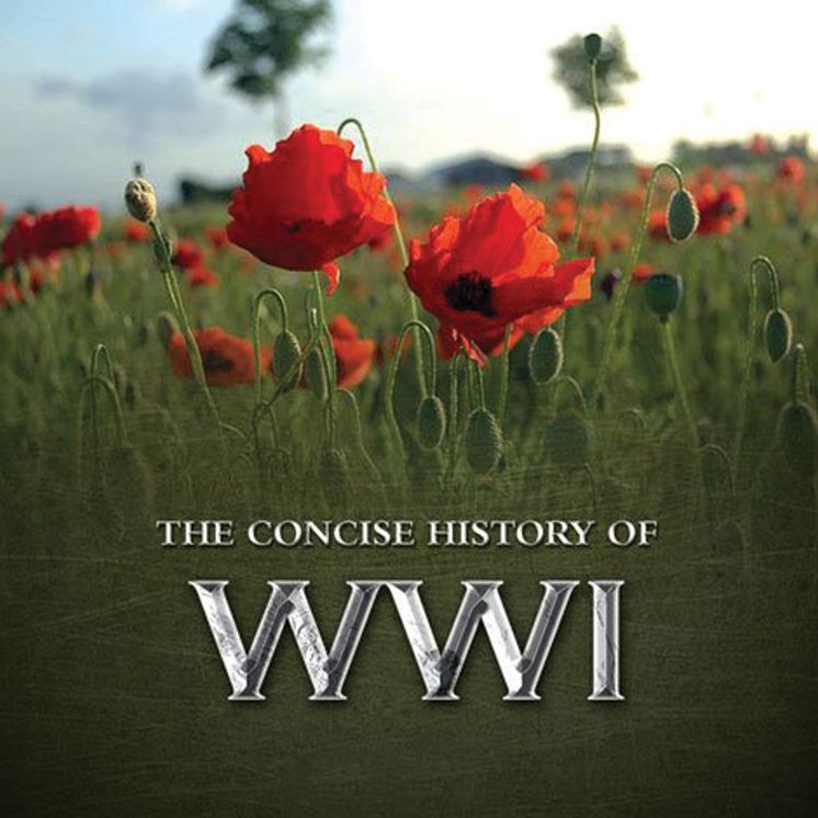 The Concise History of WWI