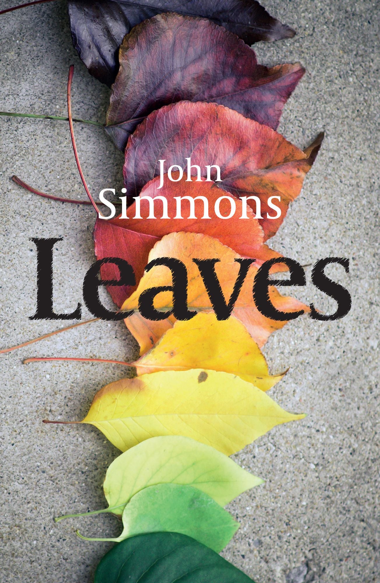 Leaves - the beautiful debut novel by award winning writer John Simmons