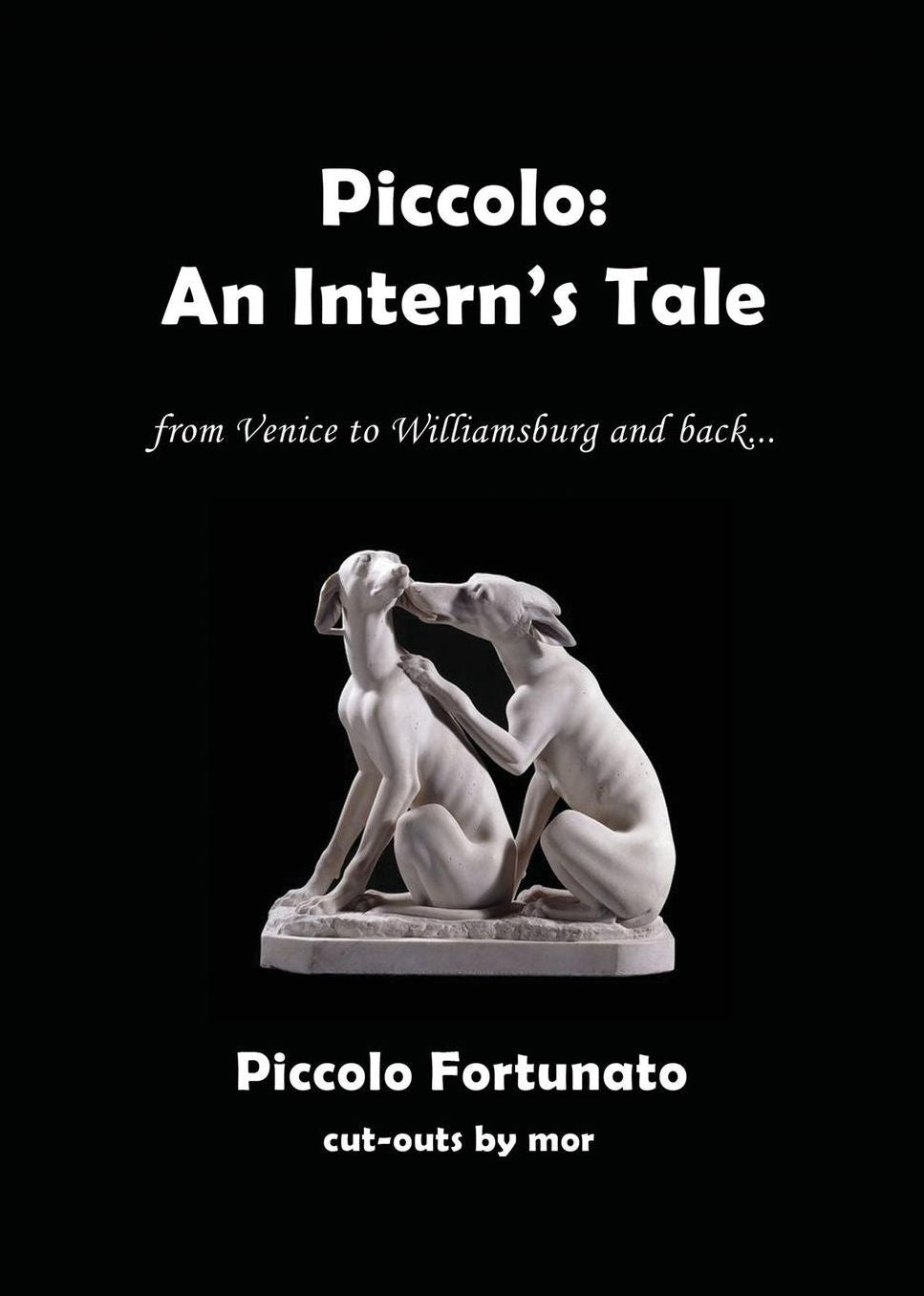 Piccolo: An Intern's Tale