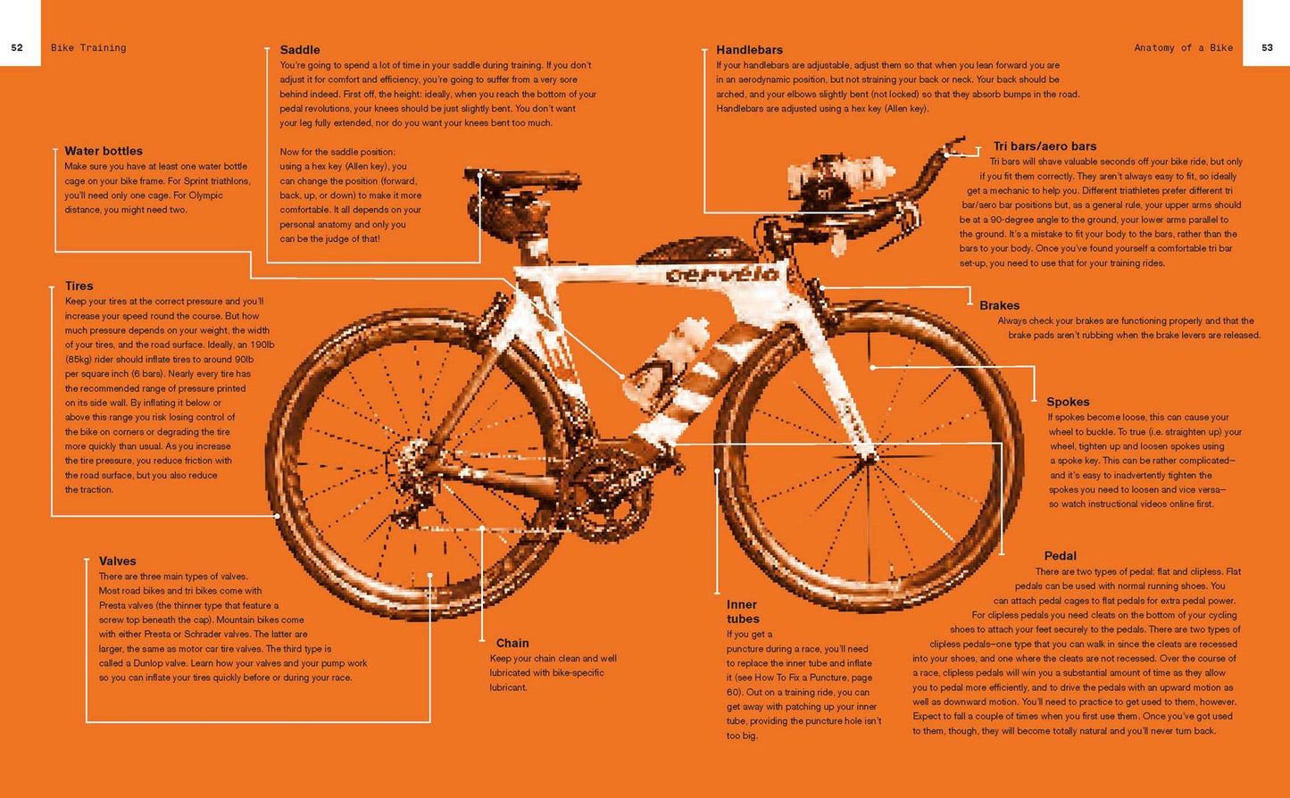 Triathlon: Expert training and race advice for beginners and improvers