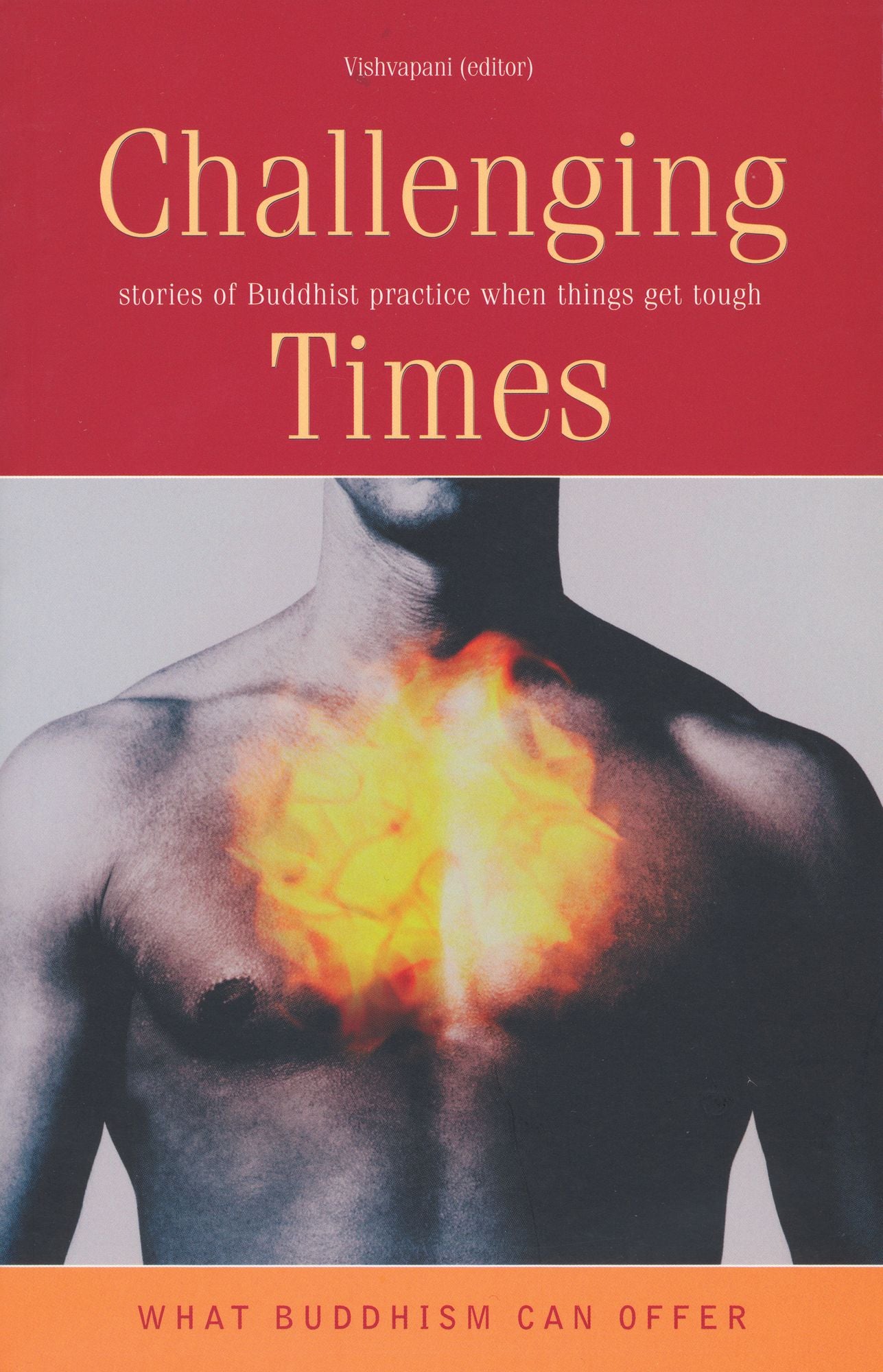 Challenging Times: Stories of Buddhist Practice When Things Get Tough