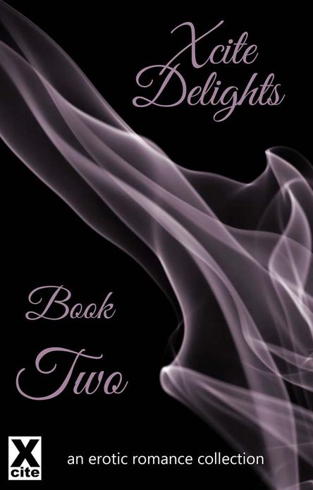 Xcite Delights - Book Two: an erotic romance collection
