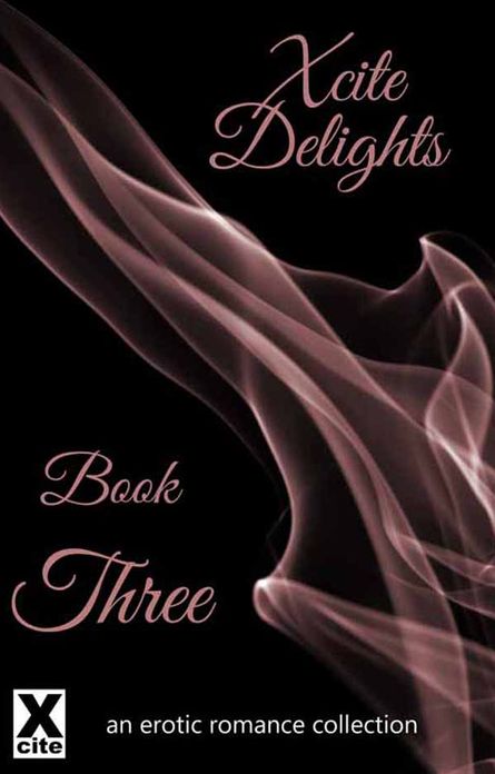 Xcite Delights - Book Three: an erotic romance collection