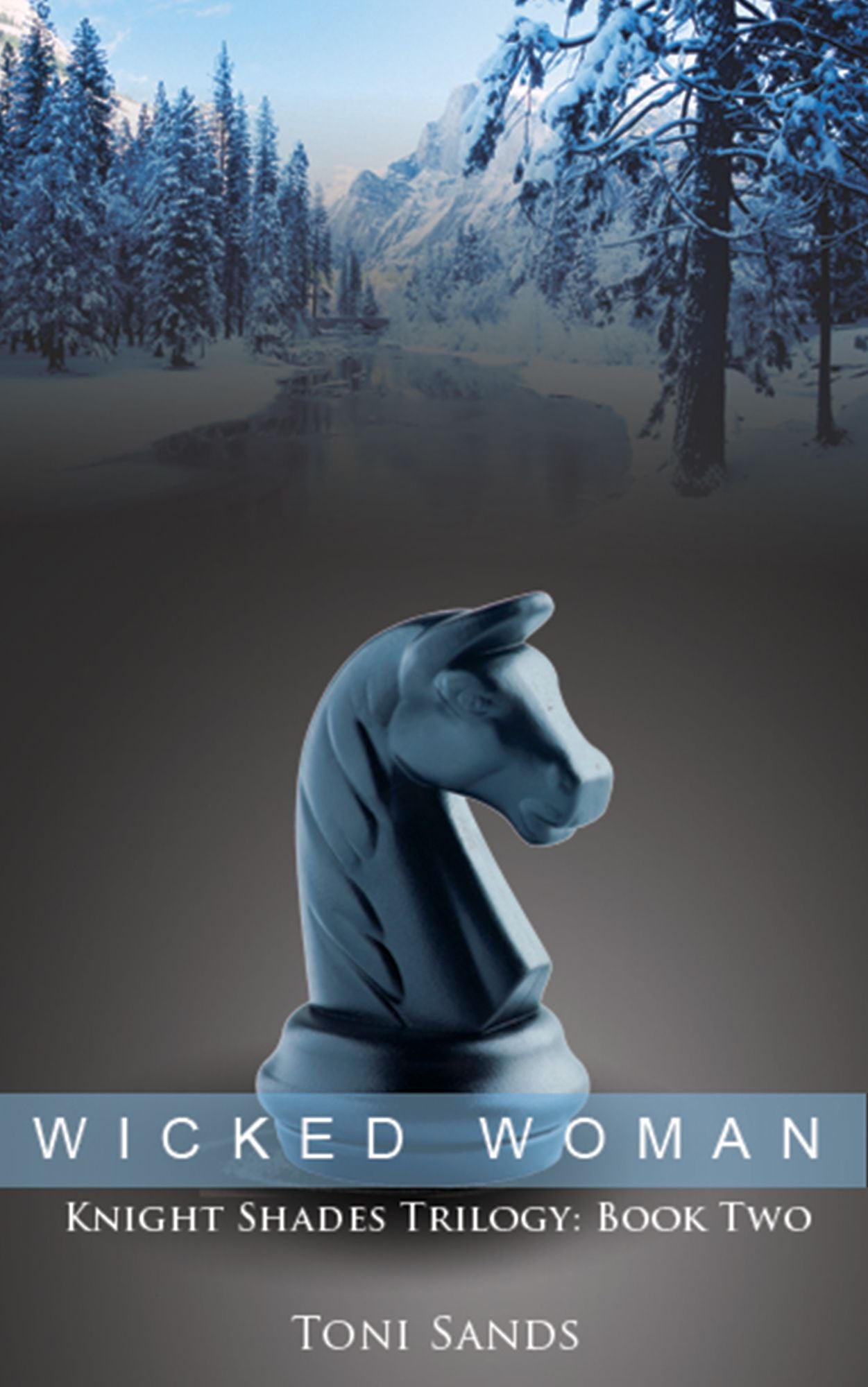 Wicked Woman: Book Two of Knight Shades Trilogy