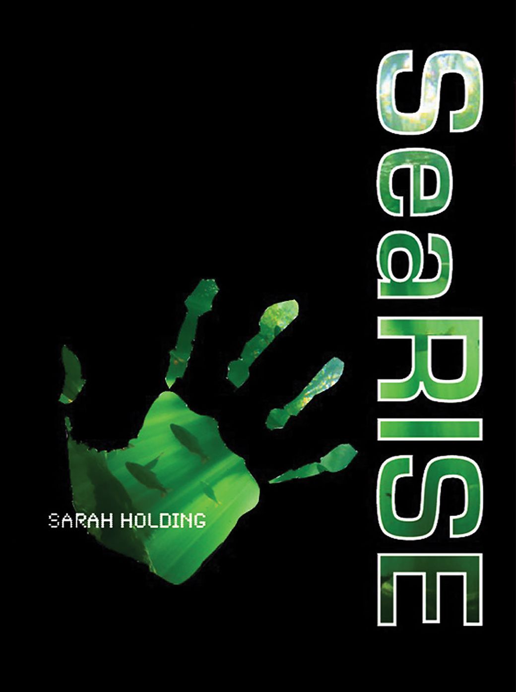 SeaRISE