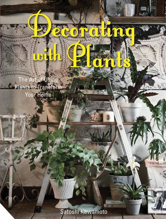Decorating with Plants: The Art of Using Plants to Transform Your Home