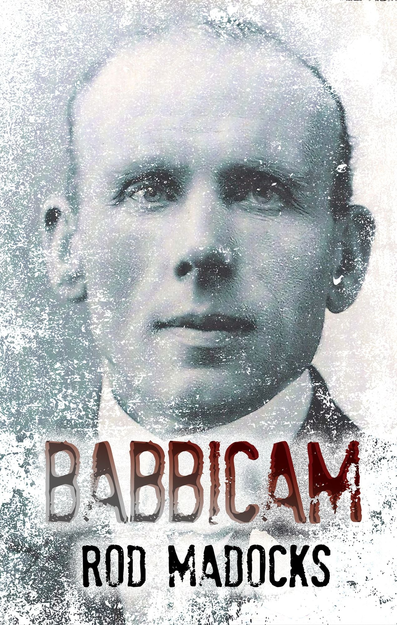 Babbicam