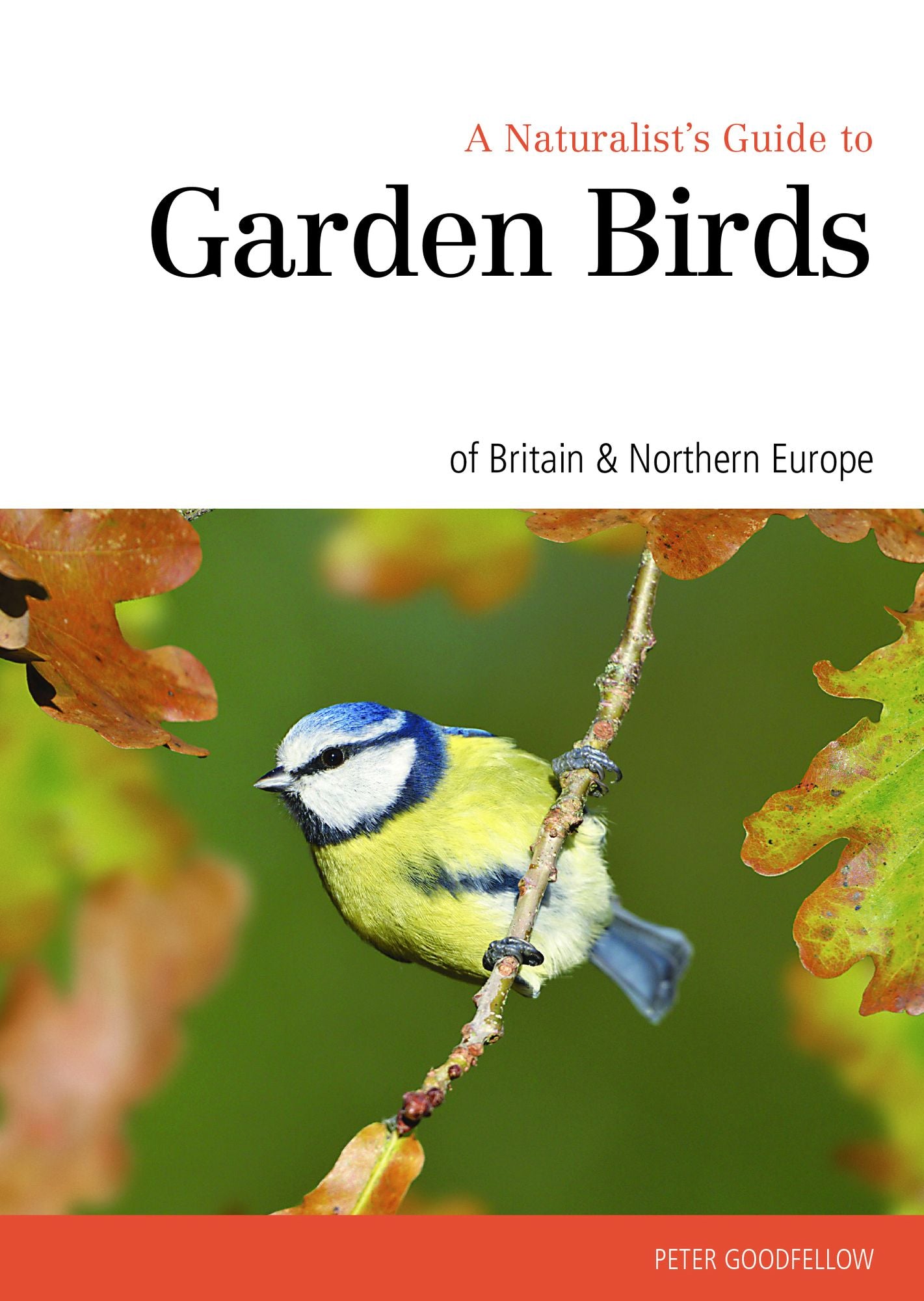 A Naturalist's Guide to Garden Birds of the British Isles
