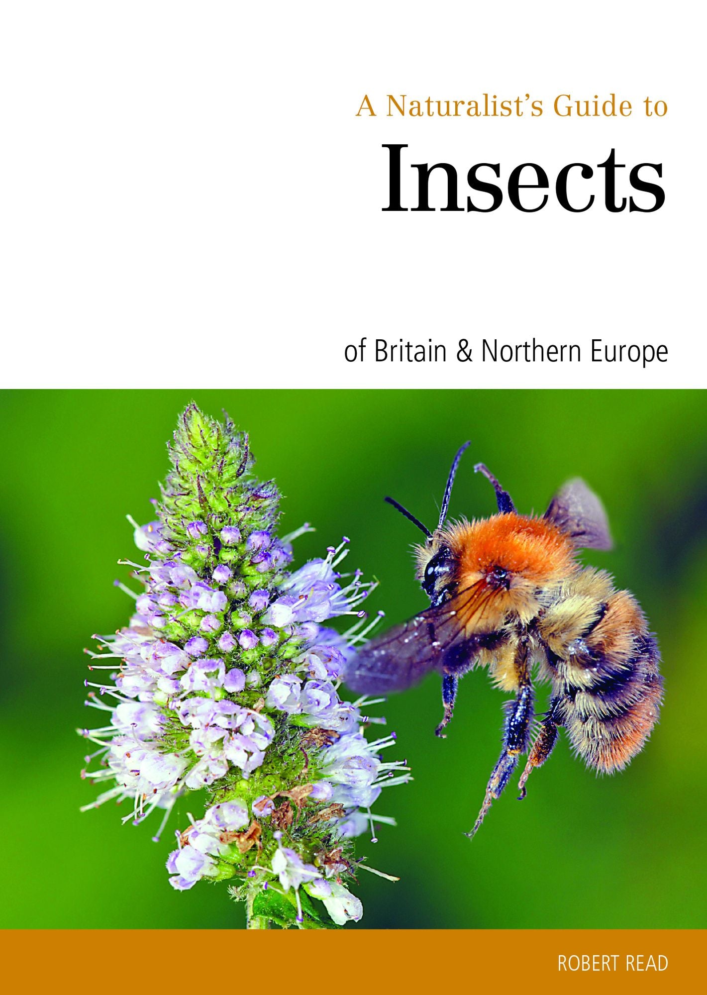 A Naturalist's Guide to the Insects of Britain & Northern Europe