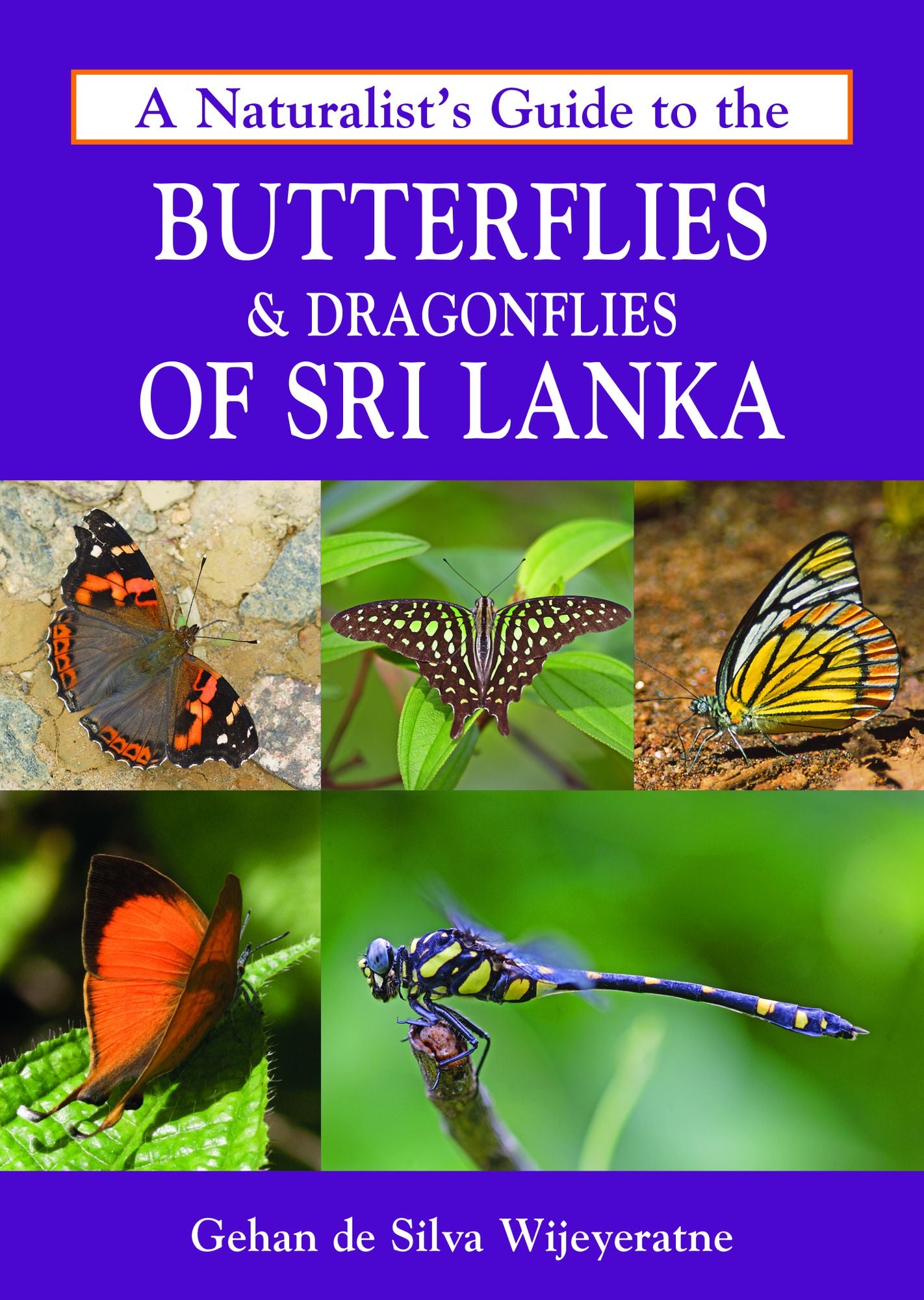 A Naturalist's Guide to the Butterflies & Dragonflies of Sri Lanka