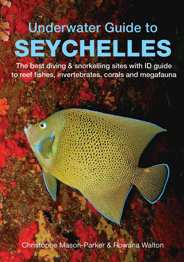 Underwater Seychelles
