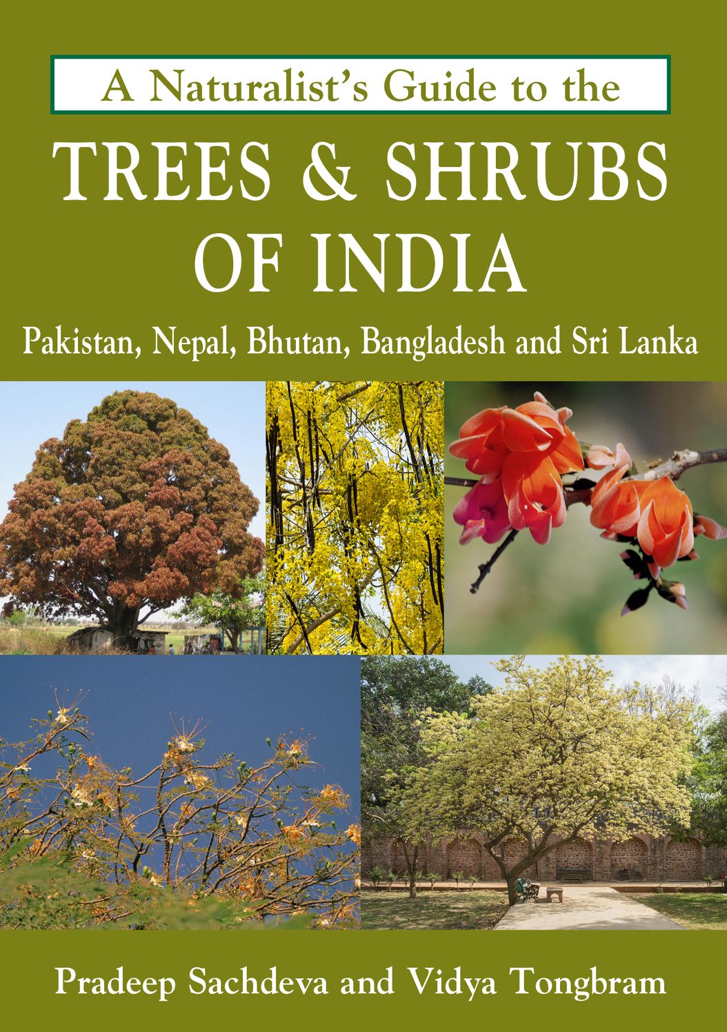 A Naturalist's Guide to the Trees & Shrubs of India