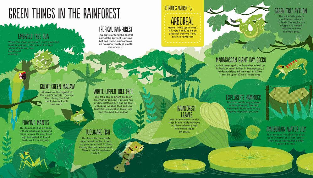 Facts: Essential Knowledge for Curious Kids