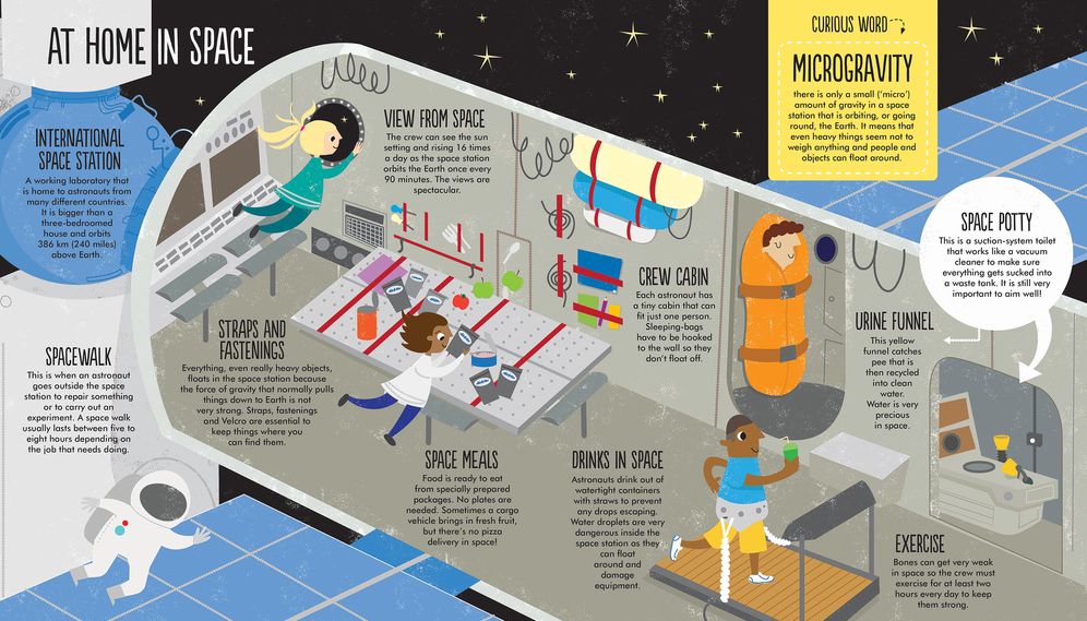 Facts: Essential Knowledge for Curious Kids