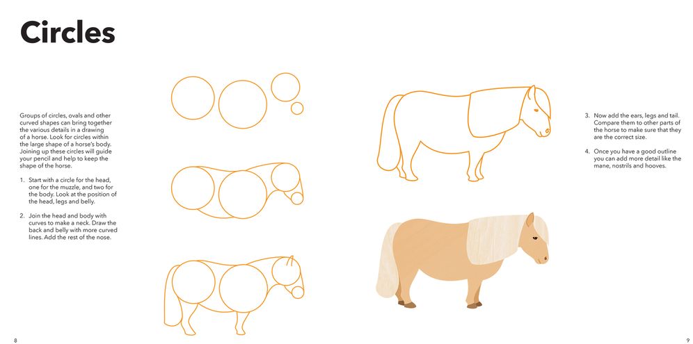 How to Draw Horses